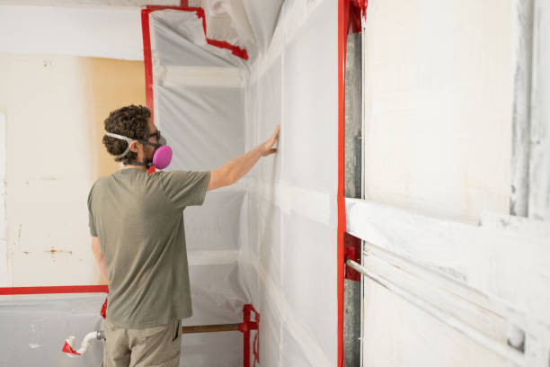 Best Environmental Consulting for Mold Prevention  in Fairport Harbor, OH