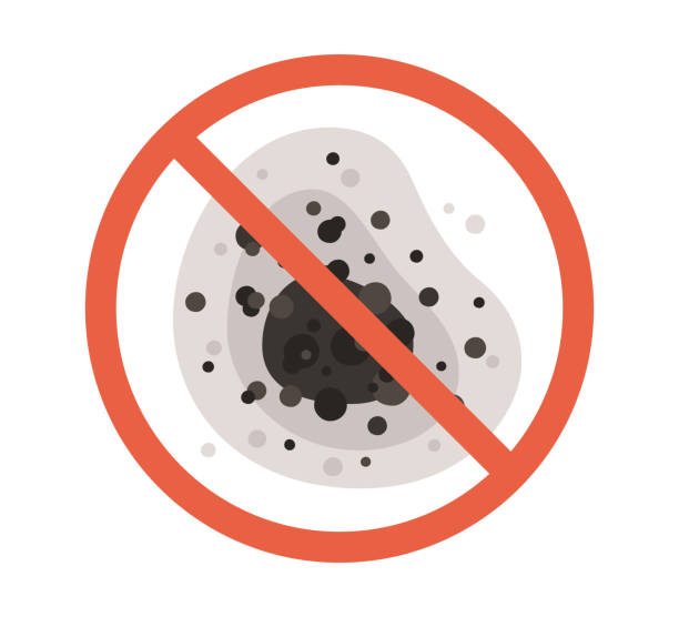 Best Comprehensive Air Testing for Mold Contaminants  in Fairport Harbor, OH
