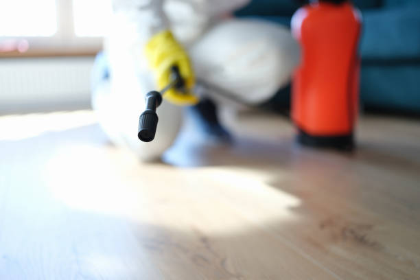 Forensic Mold Investigation in Fairport Harbor, OH